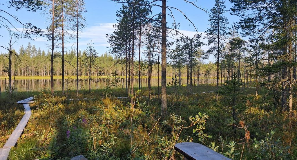 pitkospuureitti Kuumussa, Kuhmossa
